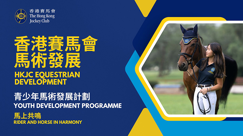 Rider and Horse In Harmony