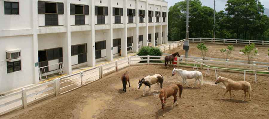 Tuen Mun Public Riding School