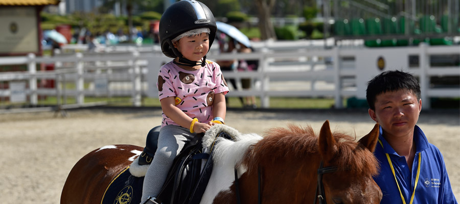 Riding Lessons