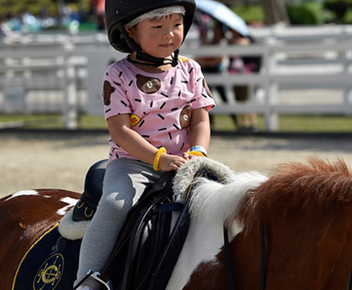 Riding Lesson Enrolment