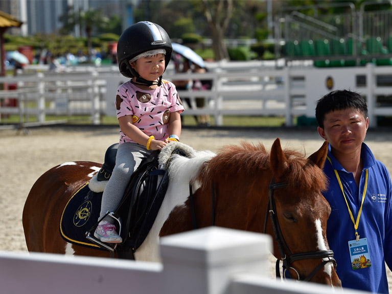 RIDING LESSONS