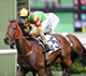 John Size edges to a four-win buffer in Hong Kong trainers’ championship