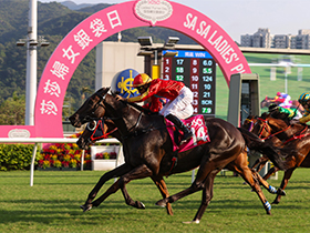 [Sa Sa Ladies' Purse Day] Highlight