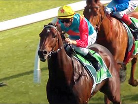 The Everest Journey of KA YING RISING Owner